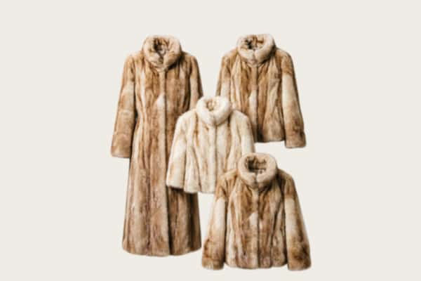 如皋市回收皮草衣服